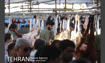 عرضه بهداشتی دام در جایگاه منطقه 2 شهرداری تهران  27