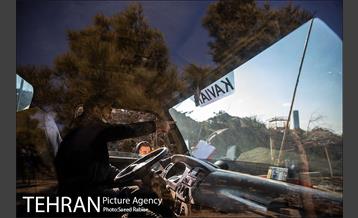 تولید کود کمپوست در پارک جنگلی آزادشهر 21