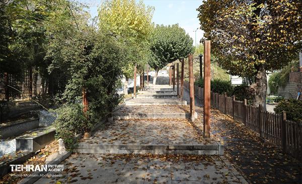 طبیعت پاییزی باغ راه فدک تهران 42
