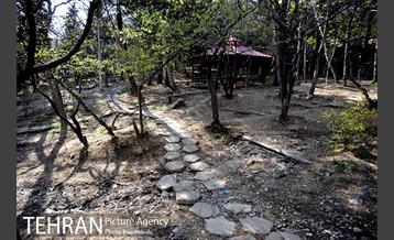 بوستان جمشیدیه (باغ سنگی جمشیدیه) 5