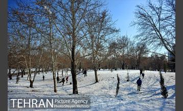 فصل زمستان در بوستان ملت 34