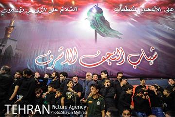 مشعل‌گردانی در دولت آباد تهران 15