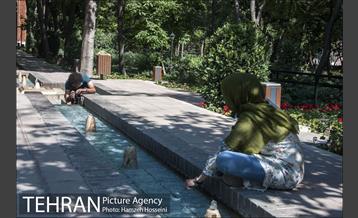 بوستان باغ ایرانی 7