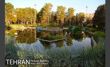 باغ راز هستی 37