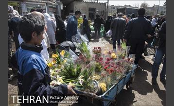 بازار گل شهید محلاتی 20