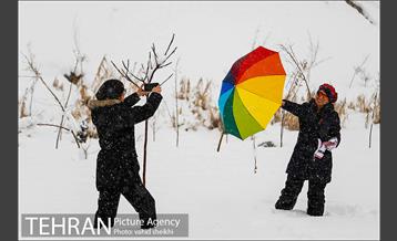 تفریحات برفی مردم پایتخت 12