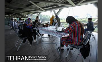 عصرانه کارتون پل طبیعت 18