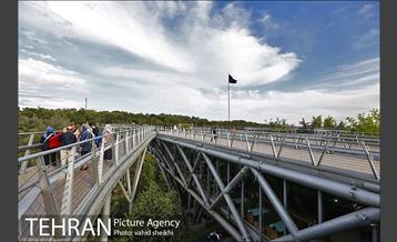 پل طبیعت در اولین روزهای پاییزیی 15