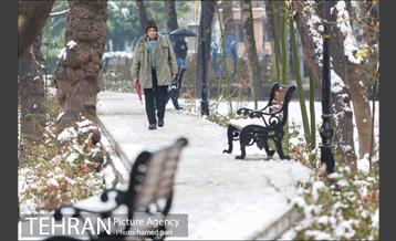 روز برفی تهران در پارک شهر 22