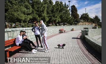 بوستان پرواز 11