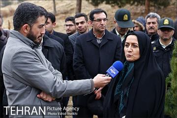 آغاز عملیات اجرایی نهضت درختکاری پردیس گردشگری 12