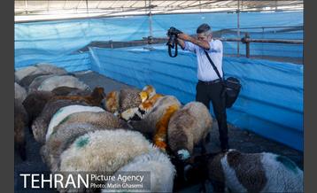 بازدید اصحاب رسانه از مراکز عرضه بهداشتی دام  9