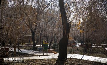 باغ گلاریس 15