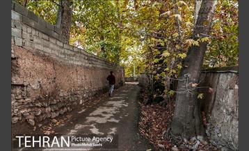 پاییز زیبای منطقه کن 7