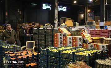 تره‌بار یلدایی 77