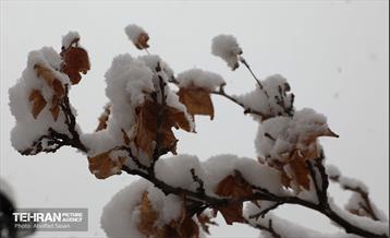 روز برفی در منطقه 8