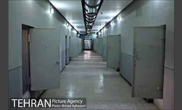 باغ موزه قصر 41