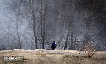 دومین روز اجرای طرح ضربتی پاکسازی دره فرحزاد 2