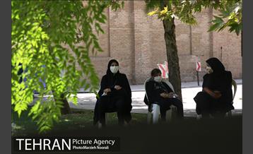 زیر آسمان روضه 8