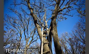 کوچه باغ های محله کن 48