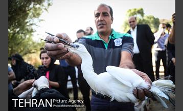 آزادسازی پرندگان و جمع آوری زباله در پارک جنگلی خجیر 10