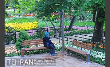 باغ ایراتی (بوستان مهندس مختاری) 22