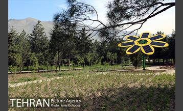 آیین بهره برداری باغ راز هستی 15