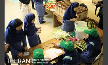 بیستمین دوره انتخابات شهردار مدرسه در مدارس قلب پایتخت برگزار شد 6