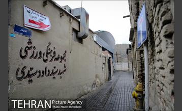 محله امامزاده یحیی  19