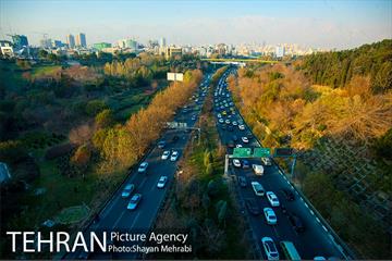 پاییز پل طبیعت 17