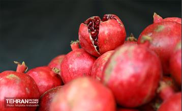 جشنواره انار «صد دانه یاقوت» 27