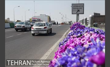 گل آرایی پل سیدخندان 25