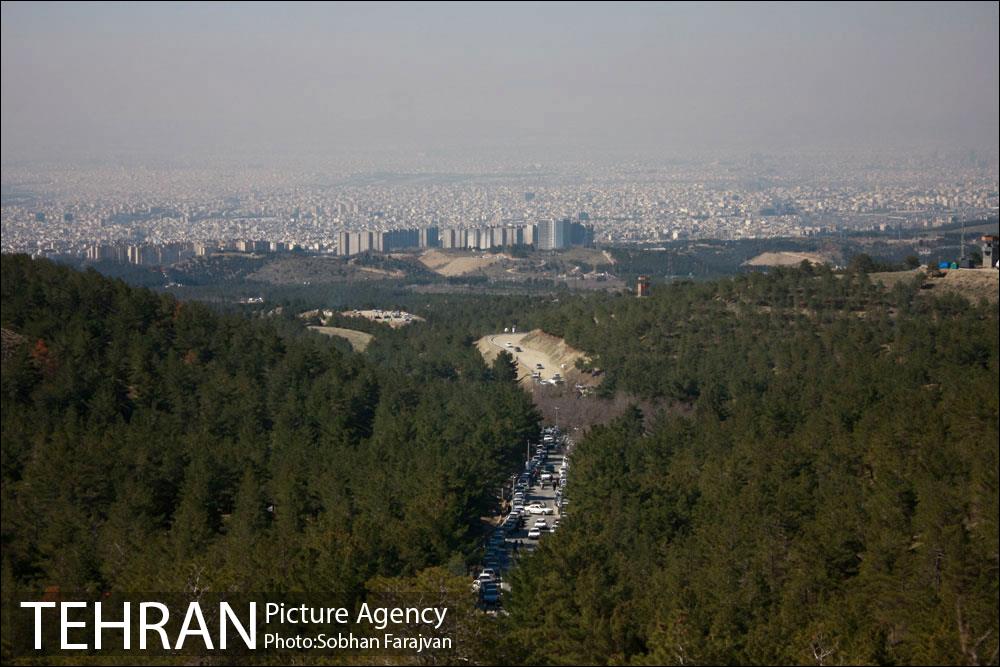روز طبیعت در بوستان جنگلی یاس 13