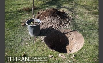 آیین درختکاری دوچرخه سواران تهران 2