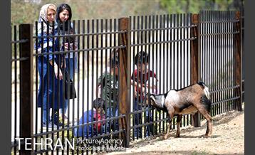 آئین بهره برداری از باغ راز هستی در منطقه 22 20