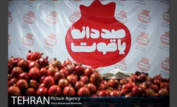 افتتاح جشنواره صد دانه یاقوت 10