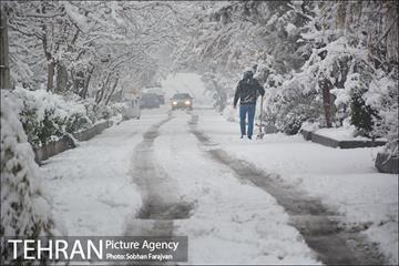 بارش برف زمستانی در تهران-2 11