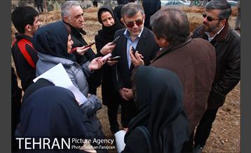 کاشت ۱۰۰ هزار اصله نهال در پارک جنگلی تلو 9