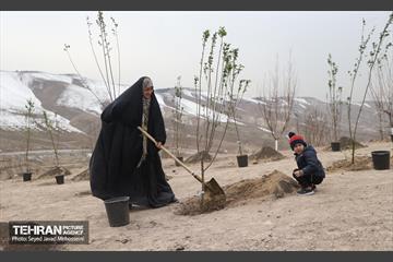 آیین روز درخت‌کاری و پایان پروژه کاشت ۲۵۰۰ هکتار کمربند سبز پایتخت  12