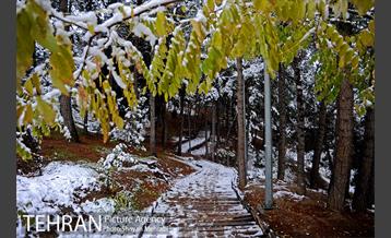 بارش برف پاییزی در بوستان طالقانی 20