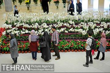 شانزدهمین نمایشگاه بین المللی گل و گیاه تهران - 2 31
