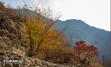 سمفونی رنگ های پاییزی - دربند 28