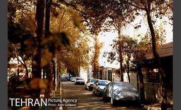 محله نازی آباد 12