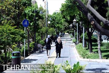 شهرنگار؛ میدان ولیعصر (عج) 29