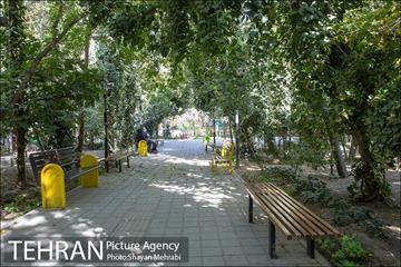 بوستان هورفر 21
