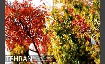 آبشار رنگارنگ 8