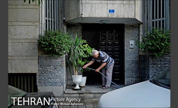 یوسف آباد، بی باغ و بی آسیاب 1