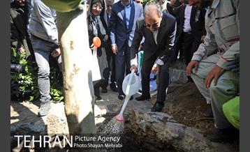 احیای درختان خیابان  ولیعصر( عج) با حضور شهردار تهران  29