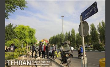 پویش سه شنبه های بدون خودرو در منطقه 8