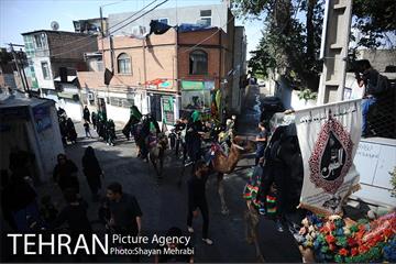 حرکت نمادین کاروان اُسرای کربلا در ده ونک 16